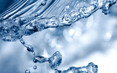Dove c’è acqua c’è vita